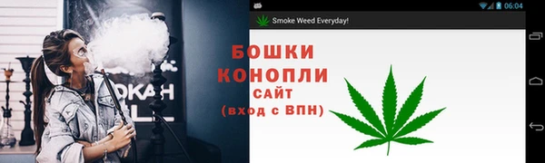 a pvp Коряжма