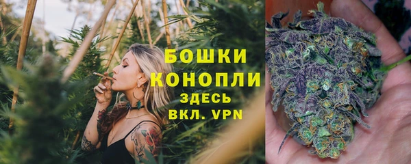 a pvp Коряжма