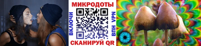 цены наркотик  Нижний Тагил  Псилоцибиновые грибы Magic Shrooms 