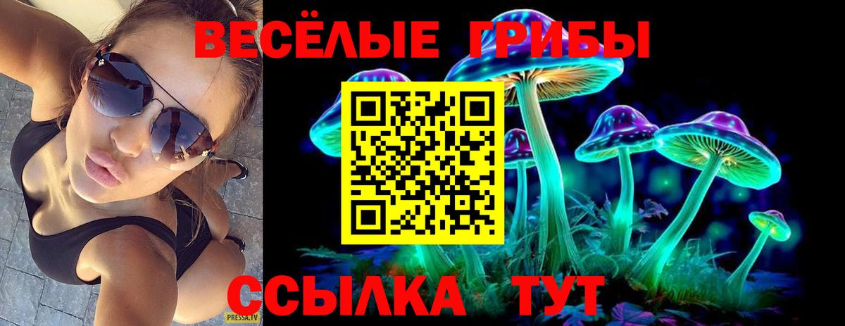 Галлюциногенные грибы MAGIC MUSHROOMS  Вход с VPN  Нижний Тагил 